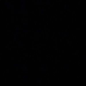 Meet your Posher, Genesis